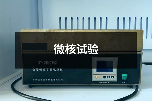 微核试验 